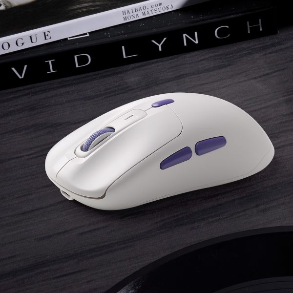 Mouse